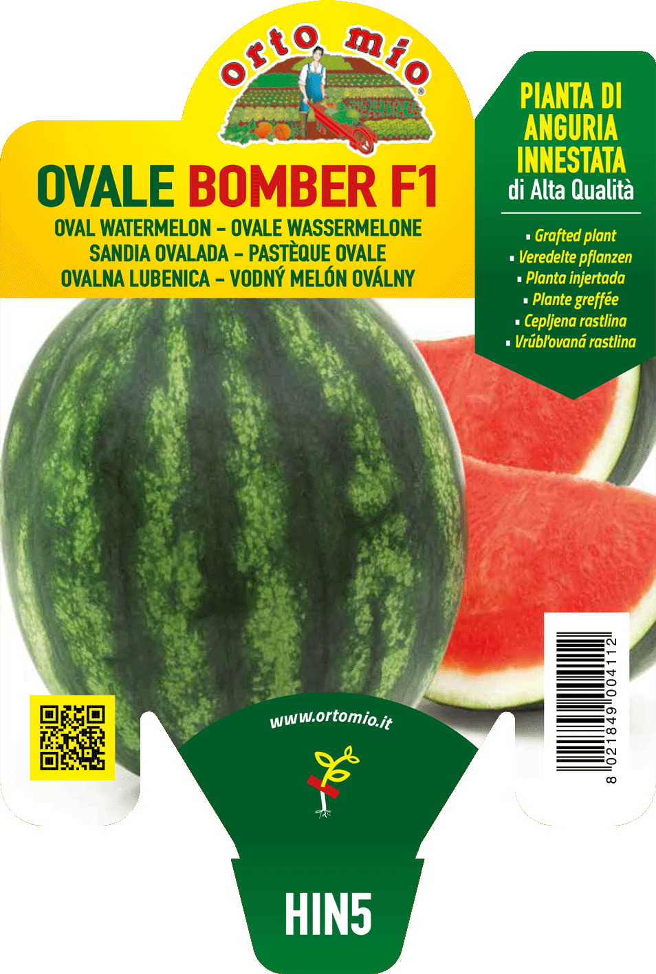 ANGURIA INNESTATA OVALE BOMBER F1 ORTO MIO