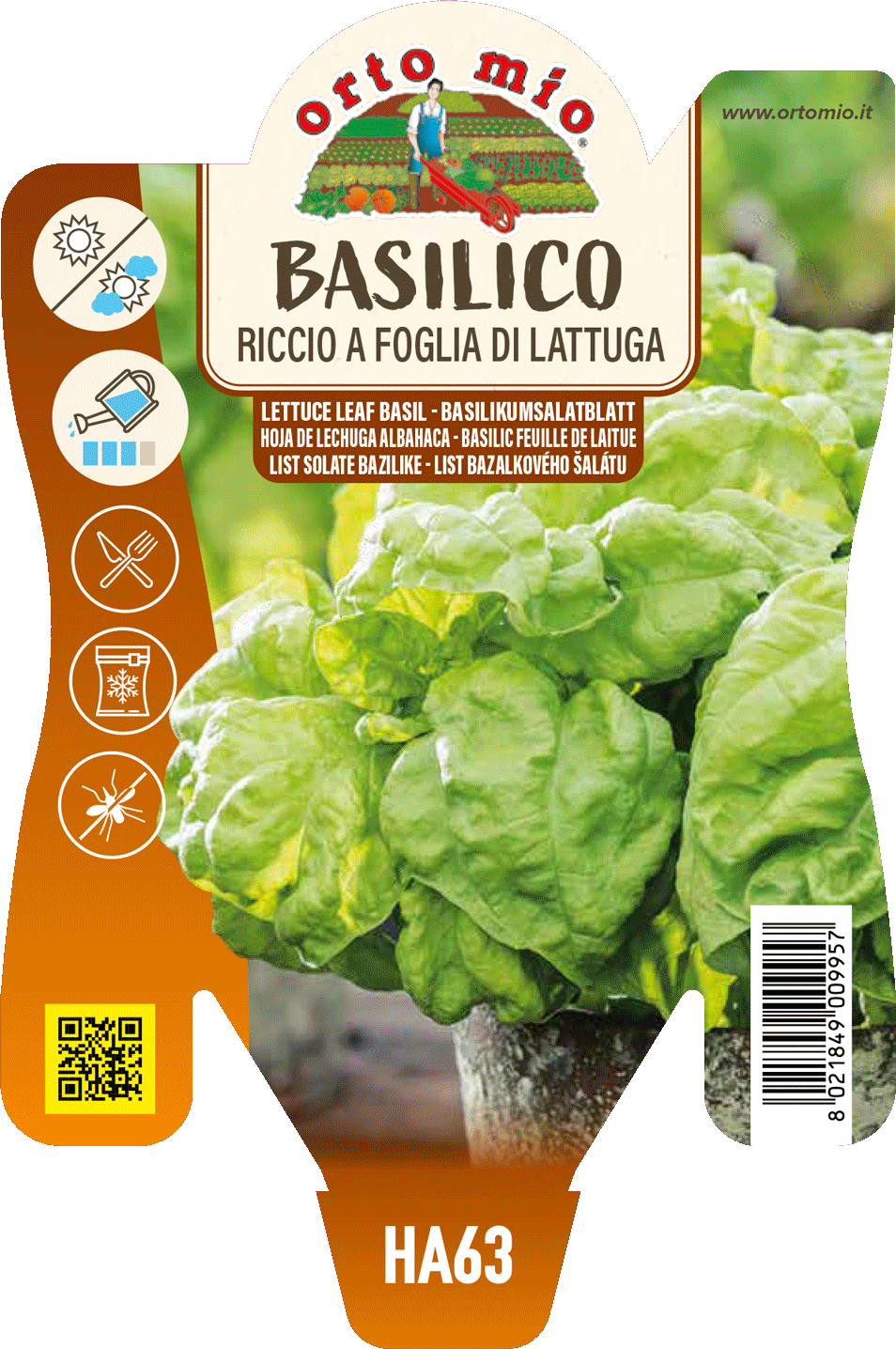 Basilico riccio a foglia di lattuga