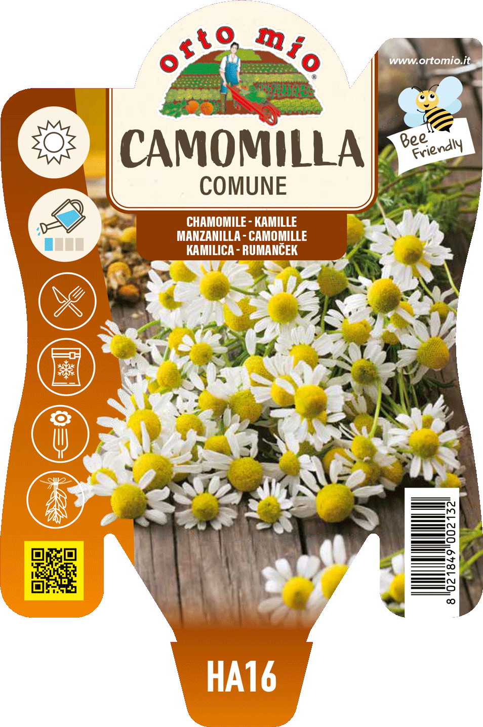 Camomilla