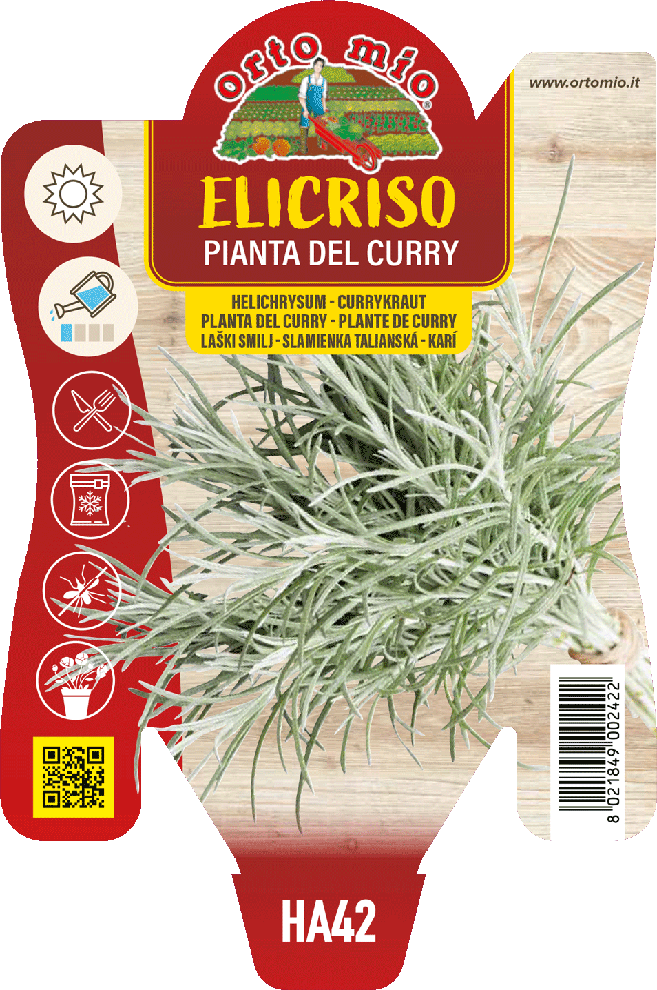 Elicriso o Pianta del Curry