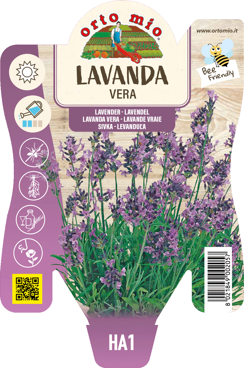 Lavanda Vera