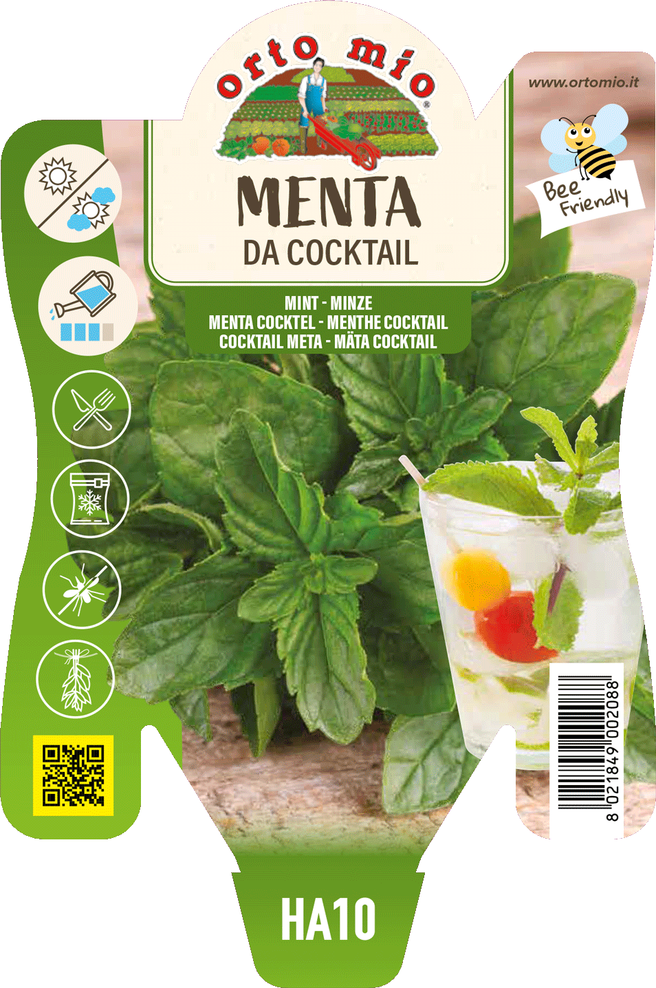 Menta da Cocktail