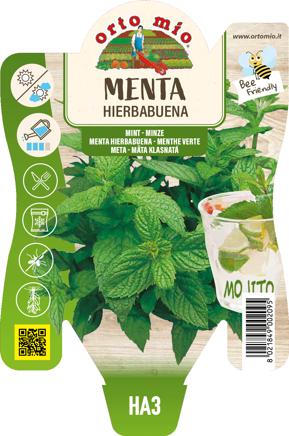 Menta Hierbabuena