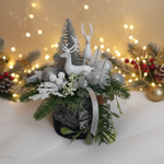 Mini box coppia di cervi