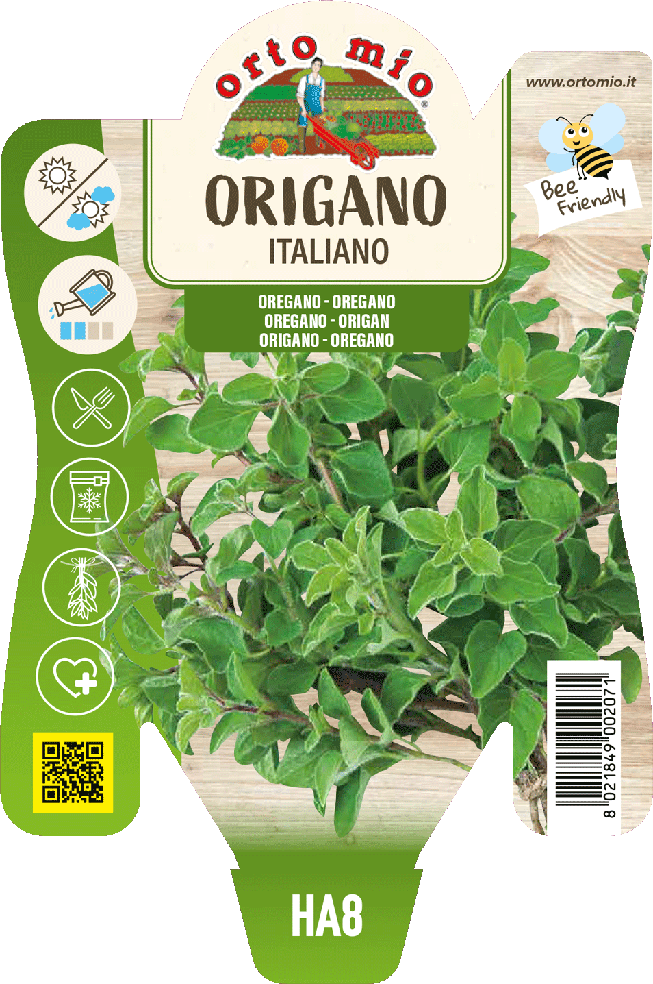 Origano