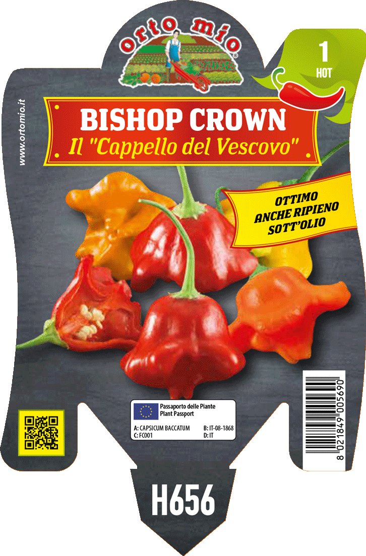 Peperoncino Orto Mio Bishop Crown - Cappello del Vescovo