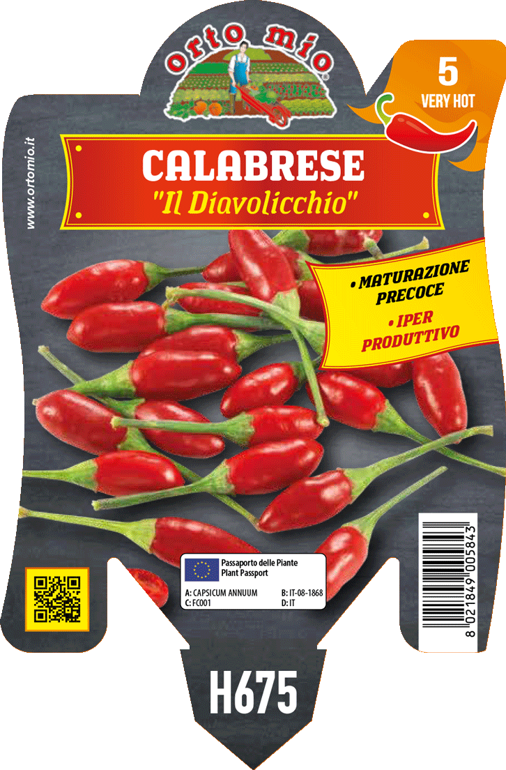 Peperoncino Orto Mio Diavolicchio Calabrese