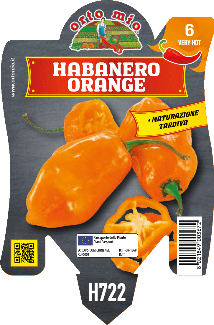 Peperoncino Orto Mio Habanero Arancio