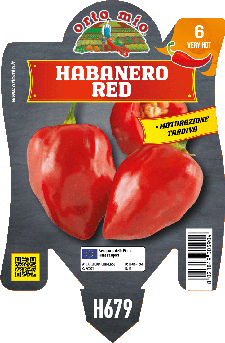 Peperoncino Orto Mio Habanero Red