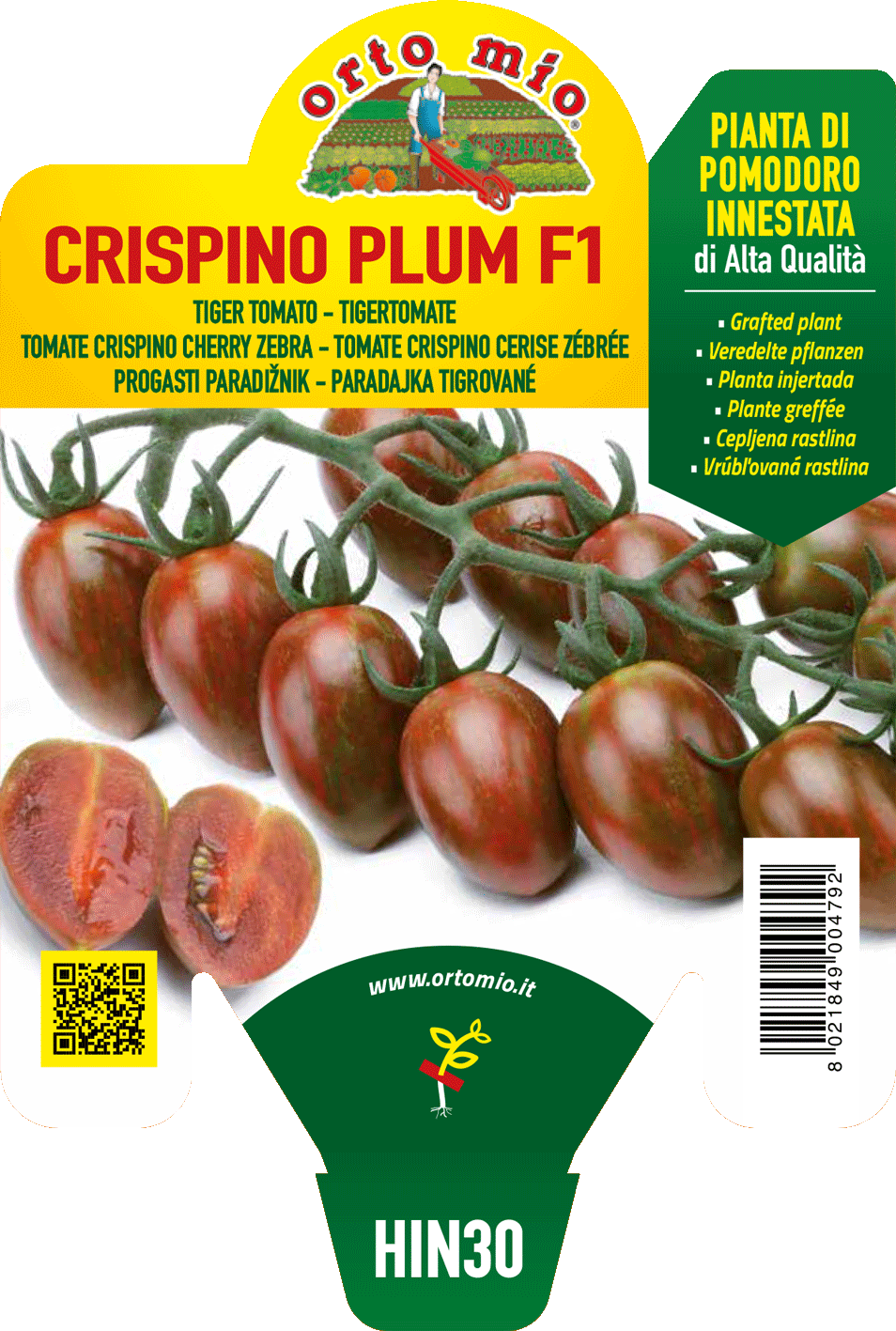 Pianta Zebrino var. Crispino Plum F1 - Orto Mio