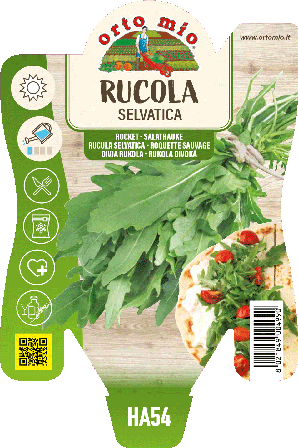 Rucola Selvatica