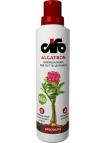 Algatron CIFO