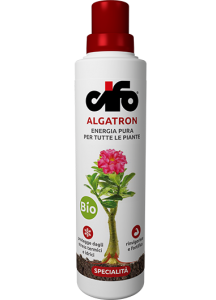 Algatron CIFO